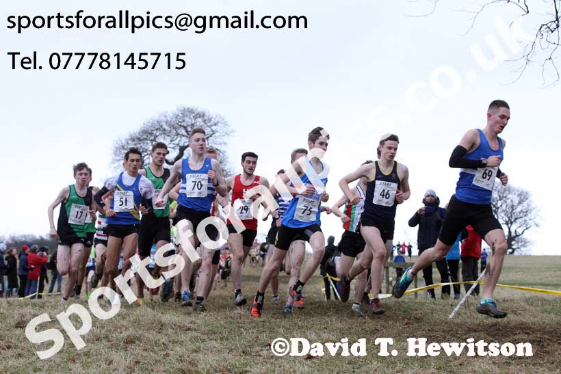 Junior men, 2018 Northern Cross Country Champs., Harewood House, Leeds. Photo: David T. Hewitson/Sports for All Pics